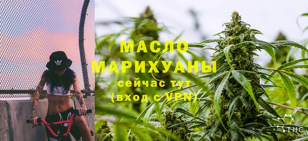 хмурый Аркадак