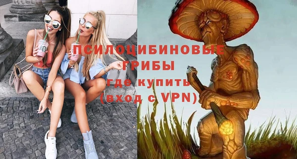 прущая мука Армянск