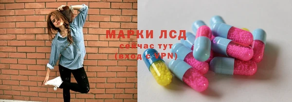 хмурый Аркадак