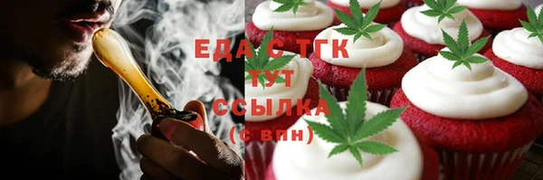 хмурый Аркадак