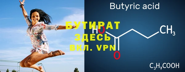 хмурый Аркадак