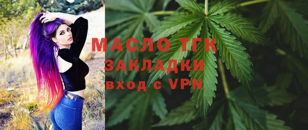 хмурый Аркадак