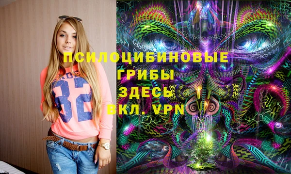 прущая мука Армянск