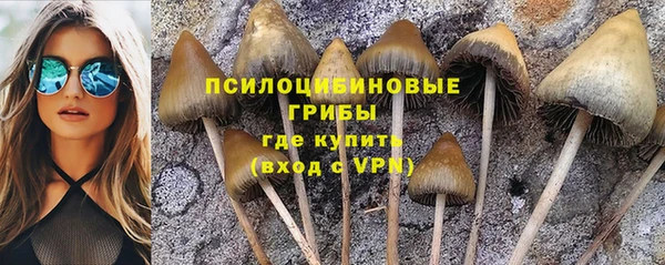 COCAINE Чекалин