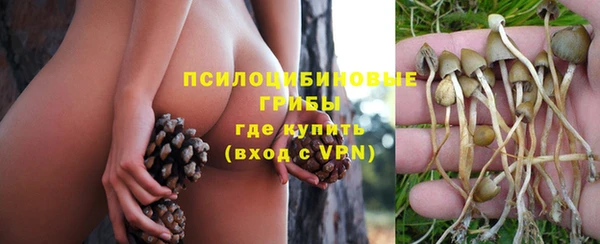 прущая мука Армянск