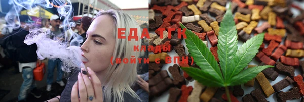 хмурый Аркадак